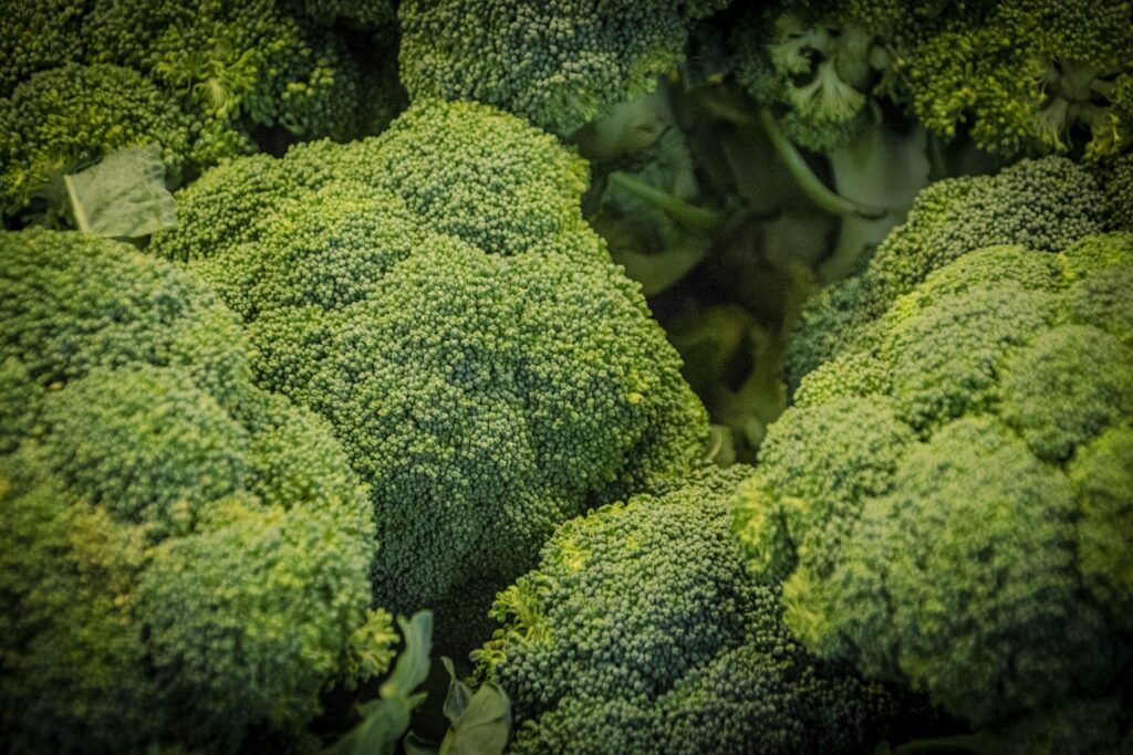 Green broccoli in close up photography looks very mysterious